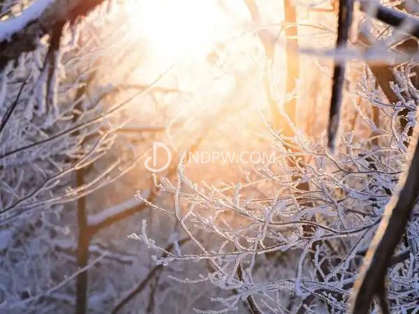 冬天对人的血压有什么影响？