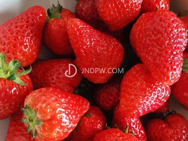 草莓吃多了会不会发胖？