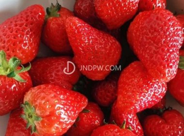 草莓吃多了会不会发胖？