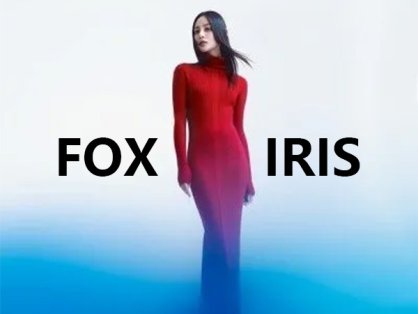 FOX IRIS鸢尾狐狸艺术肖像